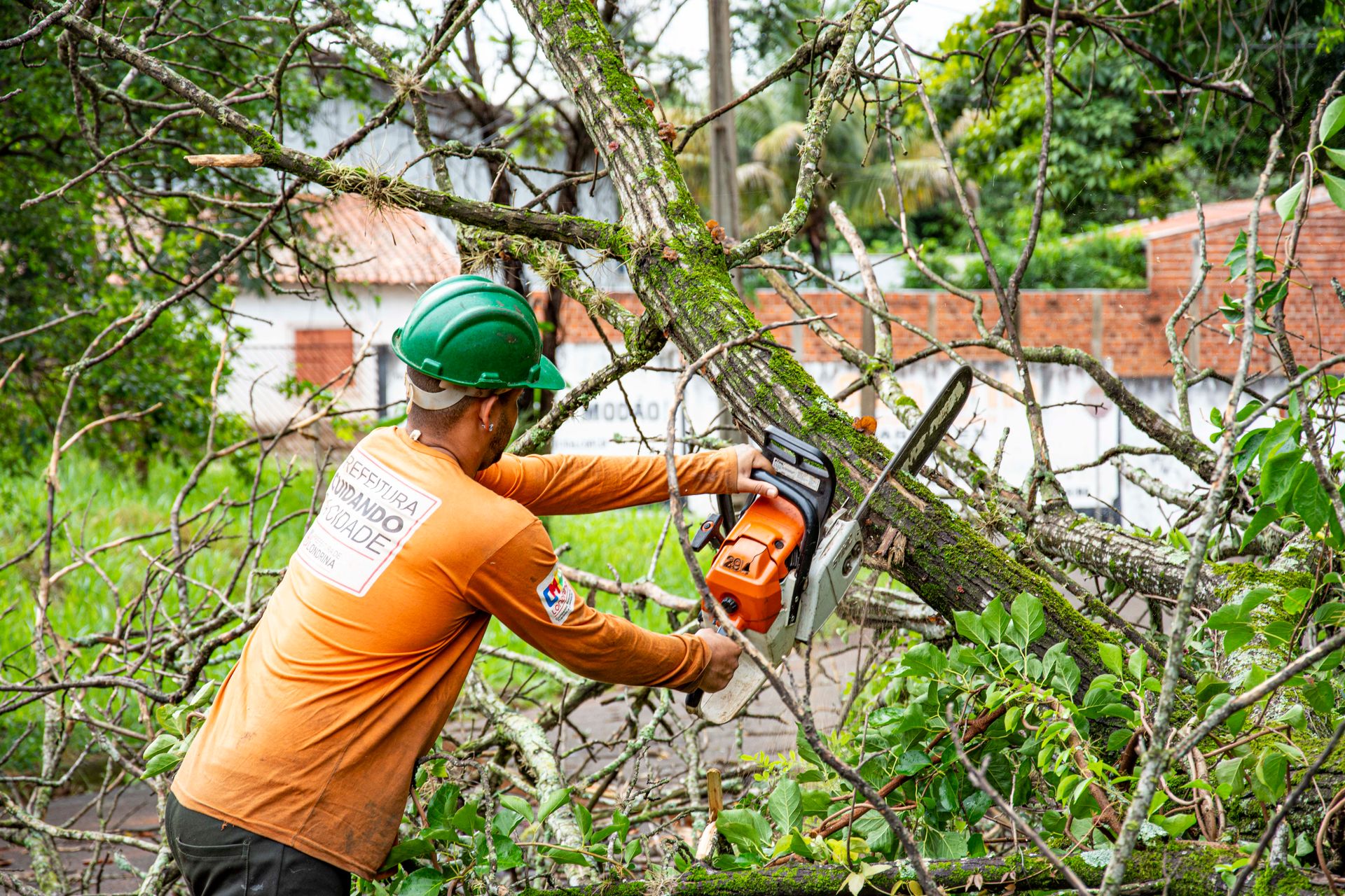 An arborist in a hard hat cutting branches with a chainsaw