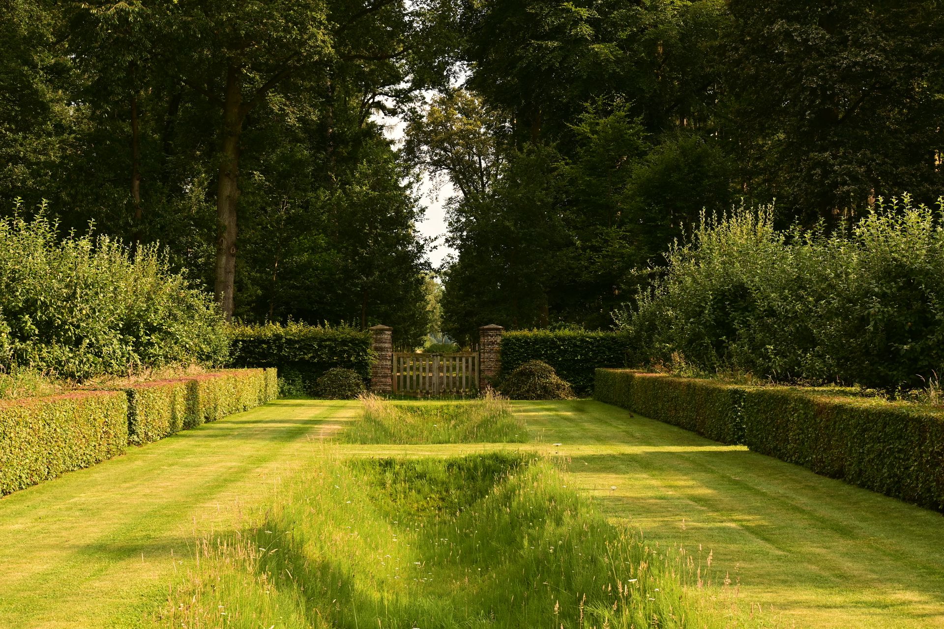 A mowed lawn path between long hedges in a wooded garden