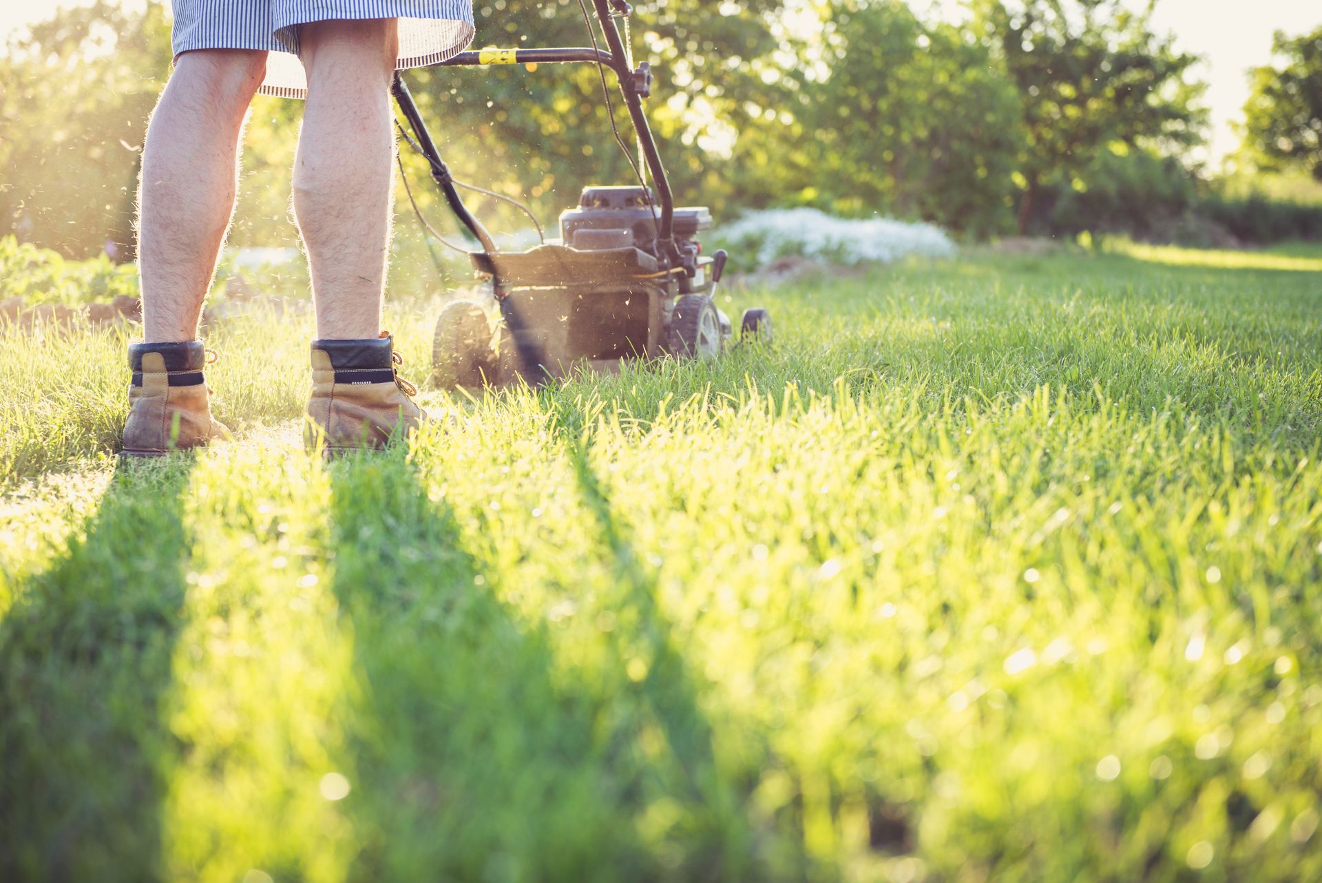 A push mower cutting a sunlit lawn