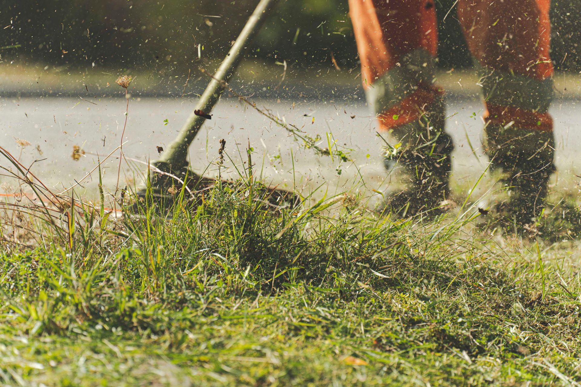 A string trimmer cutting long grass along a lawn edge