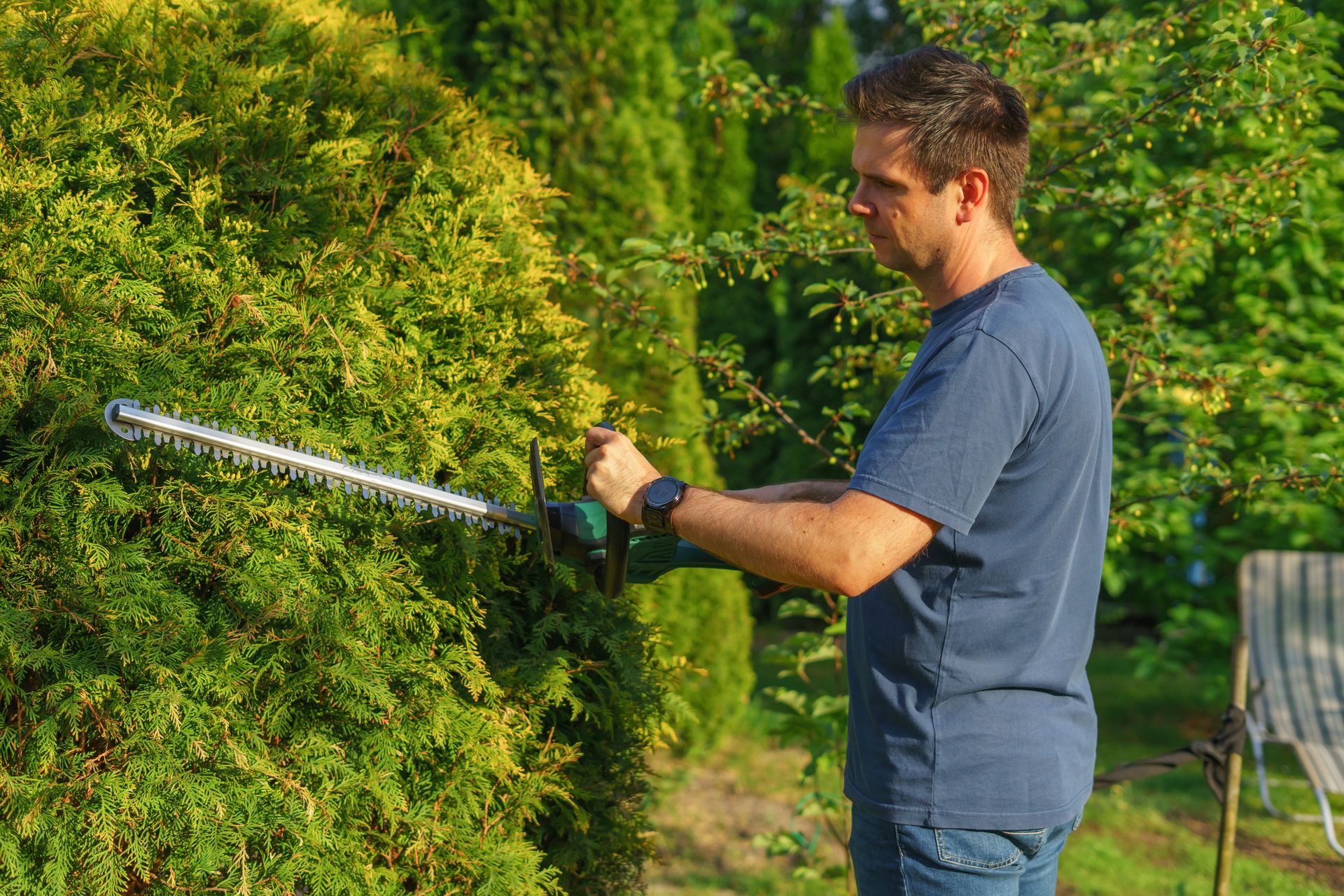 A landscaper trimming a tall hedge with a power hedge trimmer