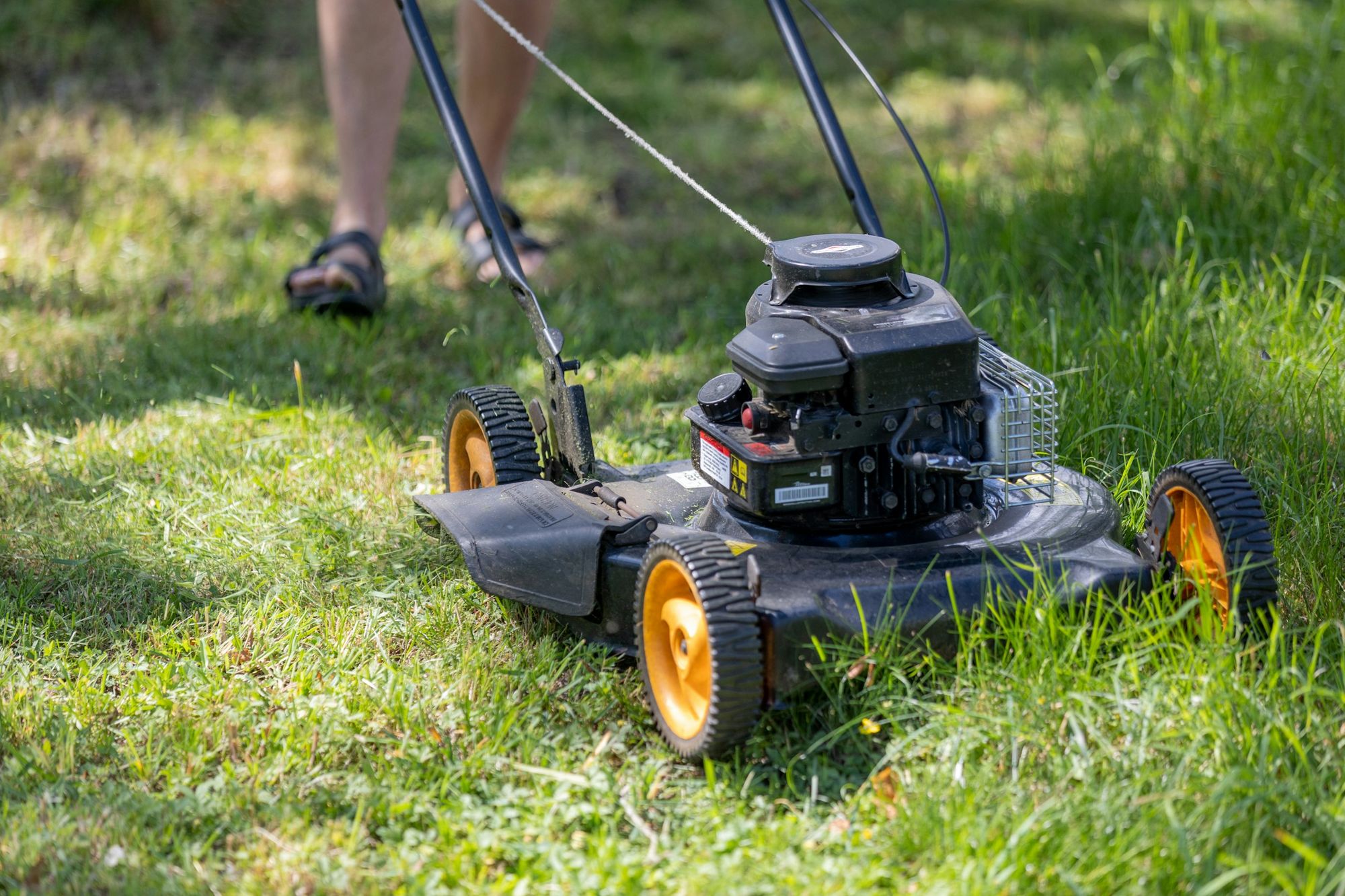 A push mower on a freshly cut lawn