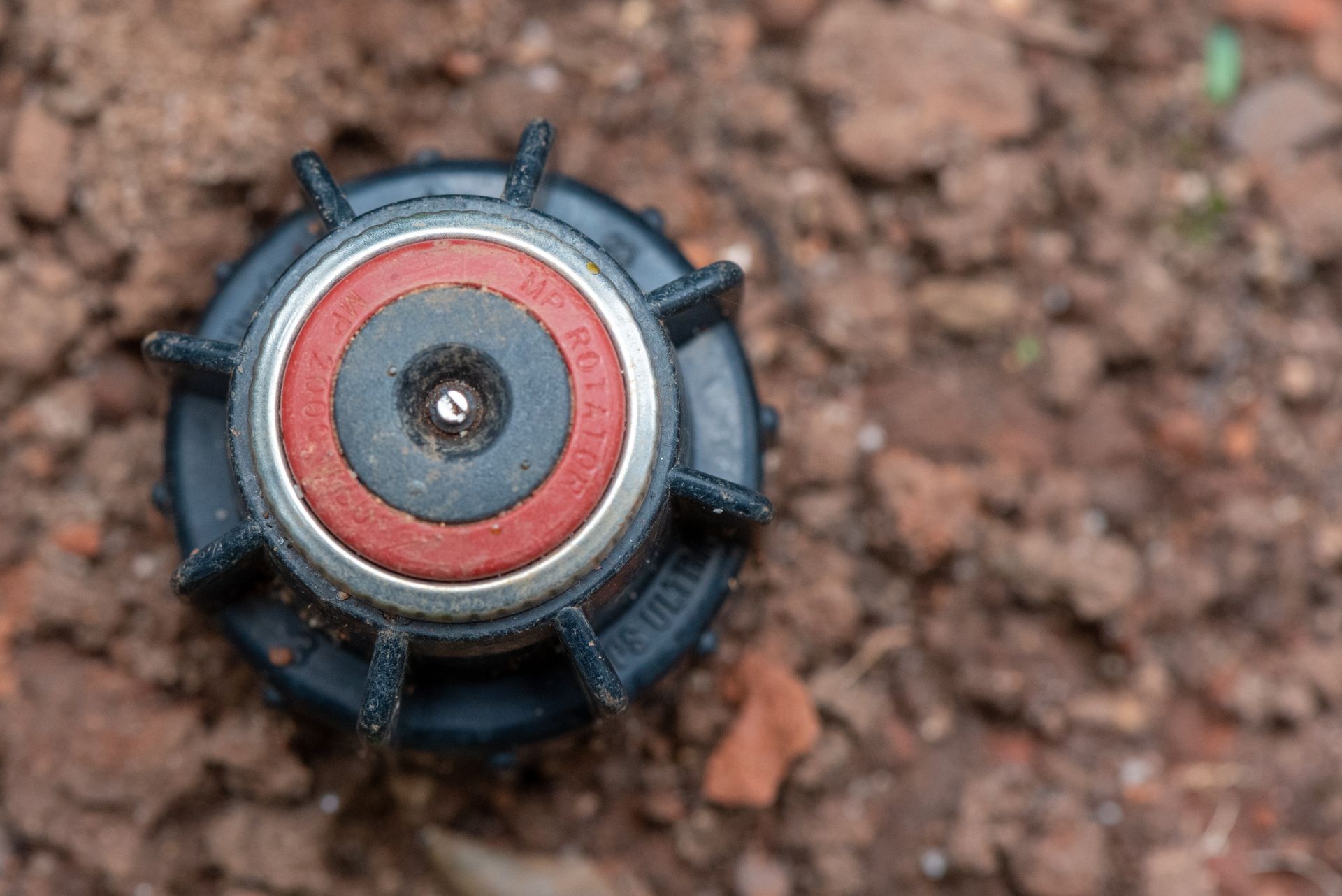 A pop-up irrigation sprinkler head set in soil