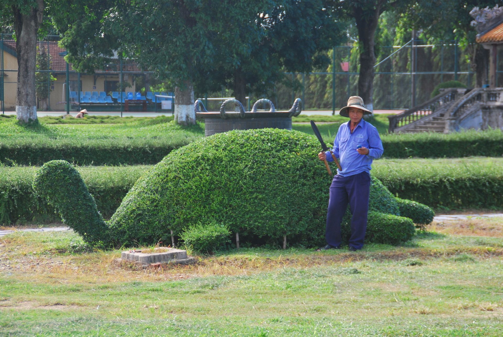 A gardener trimming a large topiary on a lawn