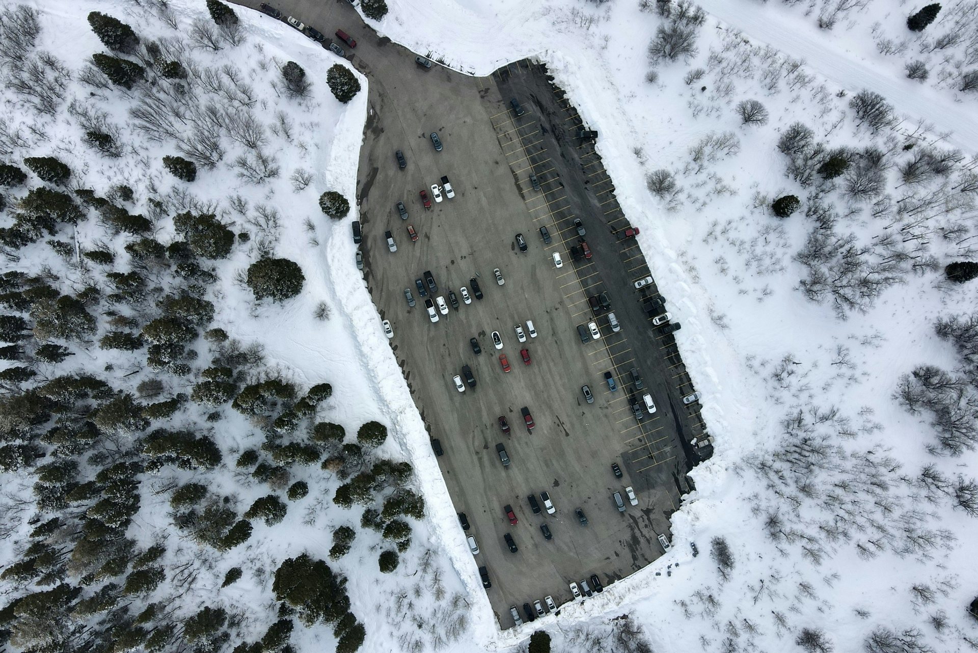 An aerial view of a plowed parking lot surrounded by snowy woods